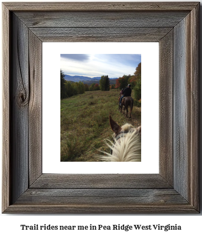 trail rides near me in Pea Ridge, West Virginia